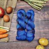 Night Market Stardew Valley Collection